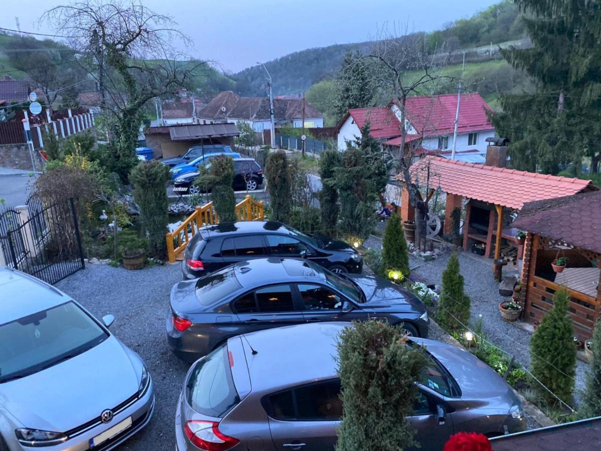 Pensiunea Ana Cristina Sighişoara Exteriör bild